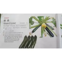 在飛比找蝦皮購物優惠-[神農種子種苗]F1夏南瓜櫛瓜種子.見說明