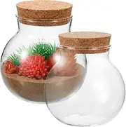 PartyKindom 2pcs Transparent Glass Micro Landscape Bottle with Cork Lid Round DIY Terrarium Jar for Succulent Plants for Indoor Decoration and Home Decor