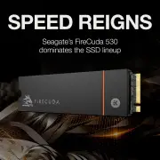 Seagate FireCuda 530 1TB NVMe M.2 PCIe SSD with Heatsink - PlayStation 5 Compatible
