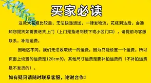 景德鎮陶瓷器手繪落地大花瓶山水畫客廳酒店裝飾擺件大號特大開業