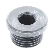 Aunger 25pk Exh Parts Allen Key S/Stl Sensor Plug M18X1.5 - OSP18SS-25