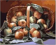 Painting by Numbers for Adults DIY Painting by Number Kit for Beginner Apple in Basket 16x20 (Self-Assembly Wooden Frame)