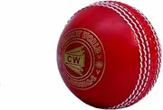 CW Spin Incredible PVC Poly Soft Practice Cricket Ball for All Age Player 1 PCS