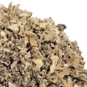 NEW MULLEIN LEAF TEA ORGANIC 100% NATURAL PREMIUM HERBAL TEAS Australian Seller