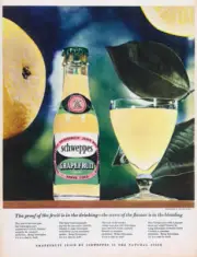 Advertisement For Schweppes Grapefruit Juice 1950s era Photo