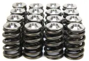 GSC P-D Beehive Valve Springs W/ Titanium Retainer Valvetrain Kit for EJ257