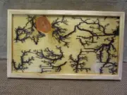 High Voltage Wood Art, Electrocuted Burned Wall Hangings, Fractal Decor 10754