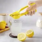 Mini Lemon Squeezer Manual Blender Practical Hand Pressed Orange Home Kitchen