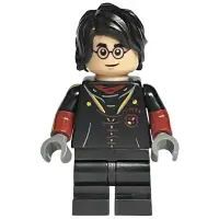 在飛比找蝦皮購物優惠-玩樂趣 LEGO樂高 76406 Harry Potter 