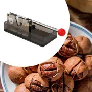 Macadamia Nut Opener Chestnut Cutter for Household Shop Hazelnut, Almonds