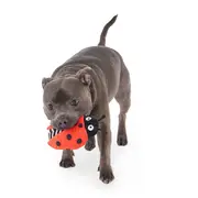 Mix Or Match 12 Plush Ladybug