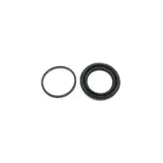 Brake Caliper Kit- Rr Carlson 41212