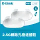 【D-Link】M60 AX6000 Wi-Fi 6 雙頻無線路由器/分享器(2入組)
