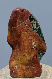 3.4 kgs Rare Petrified Wood Multicolour Stone Decoration Ornament