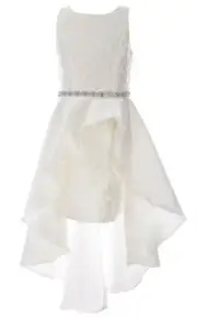 Rare Editions Big Girl's Embroidered Mesh Mikado Asymmetrical Overlay Dress-16