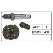 RAE Oxygen Sensor - OX646