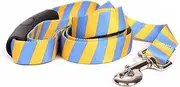 Yellow Dog Design Team Spirit Gold and Blue EZ-Grip Dog Leash-with Comfort Handle-Large-1" and 5 feet (60")