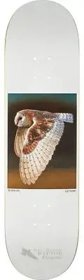 Zero Skateboards Hess Nature Barn Owl Skateboard Deck - 8.37" x 31.9"