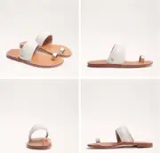 Sam Edelman Margit Modern Ivory Toe Loop Sandal Womens US sizes 6-10/NIB