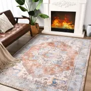 Soft Area Rug 4x6, Washable Vintage Rug for Bedroom Living Room, Non-Slip Low...