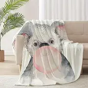 RICKYOUNG Koala with Gum Fleece Flannel Lightweight Blankets Plush Microfiber Bedding Throw Blanket for Couch and Bed 60"x50" for Teens