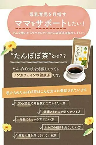 【蒲公英茶 2g×30包入】空運 日本製 綠茶 煎茶 抹茶 茶包 飲品 下午茶 開會 茶飲【小福部屋】