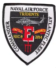 HSC-9 TRIDENTS 2014 BATTLE E PATCH
