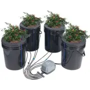 Hydroponic Deep Water Culture System 4 Bucket Top Drip Growing Kit