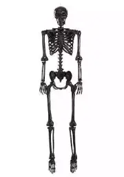 Poseable Crazy Bones Skeleton in Black Decoration