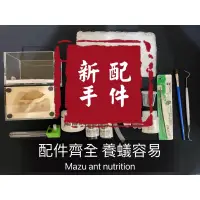 在飛比找蝦皮購物優惠-養螞蟻新手配件包（石膏蟻巢、螞蟻飼料、螞蟻配件、食盆、餵水器