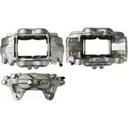 Protex Caliper Assembly - 090D0220
