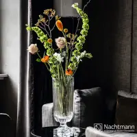 在飛比找momo購物網優惠-【Nachtmann】密涅瓦花瓶 40cm(新品上市)