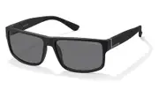 POLAROID-PLD 2030/S-DL5-5915-SUNGLASSES