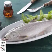 在飛比找ETMall東森購物網優惠-鮮魚屋 現撈急凍台灣肥美午仔魚*8條