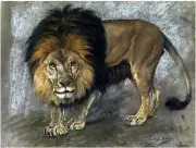 Lion G. Vastagh Animal Accent Tile Mural Kitchen Wall Backsplash Marble Ceramic