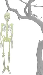 Indoor Halloween Decor, Outdoor Halloween Decorations, Halloween Wall Art, Spooky Flat Skull, Posable Skeleton Decorations, Unique Halloween Decorations, Holiday Decor