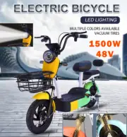 Electric Bicycle 1500W Climbing Motor Two-Seat Electric Bikes EBike With batter