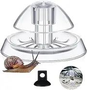 1 Piece Clear Snail Trap - Plastic Aquarium Snail Trap for Fish Tank Clear Snail Catcher Fish Plants Leech Planarian Catch Box for Aquarium Fish Tank