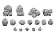 GSW: Barrel Cactus - 16x Resin Bits Pack