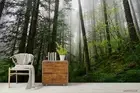 3D Deep Pine Forest Wallpaper Wall Mural Removable Self-adhesive 97