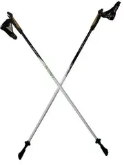 LEKI Nordic Walking Flash Carbon White/Black/Green 110cm