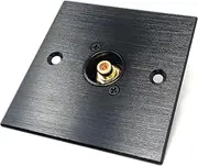 Brushed Aluminium Single RCA Phono Socket Female AV Audio Video D-Series Outlet Wall Faceplate – Durable Metal Plate with Screws Included