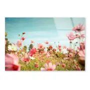 Cosmos Flower Blossom Print 100% Australian Made 120 x 90cm (Acrylic)