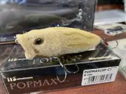 WOW! Megabass Sp/c 30th Popmax
