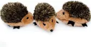 Plush Dog Squeaker Toy, 3 Count Miniz size: 6 x 4.5 x 2 in Hedgehog Den