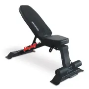 Powertrain Home Gym Adjustable Dumbbell Bench steel Weights Benches