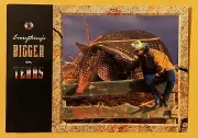 Postcard TX: Everything's Bigger In Texas