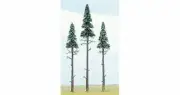 OO/HO gauge 3 X 130/170mm Scots Pine Busch 6118