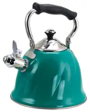 Mr. Coffee Alberton Tea Kettle With Lid