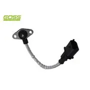 RAE Crankshaft Position Sensor - SC289